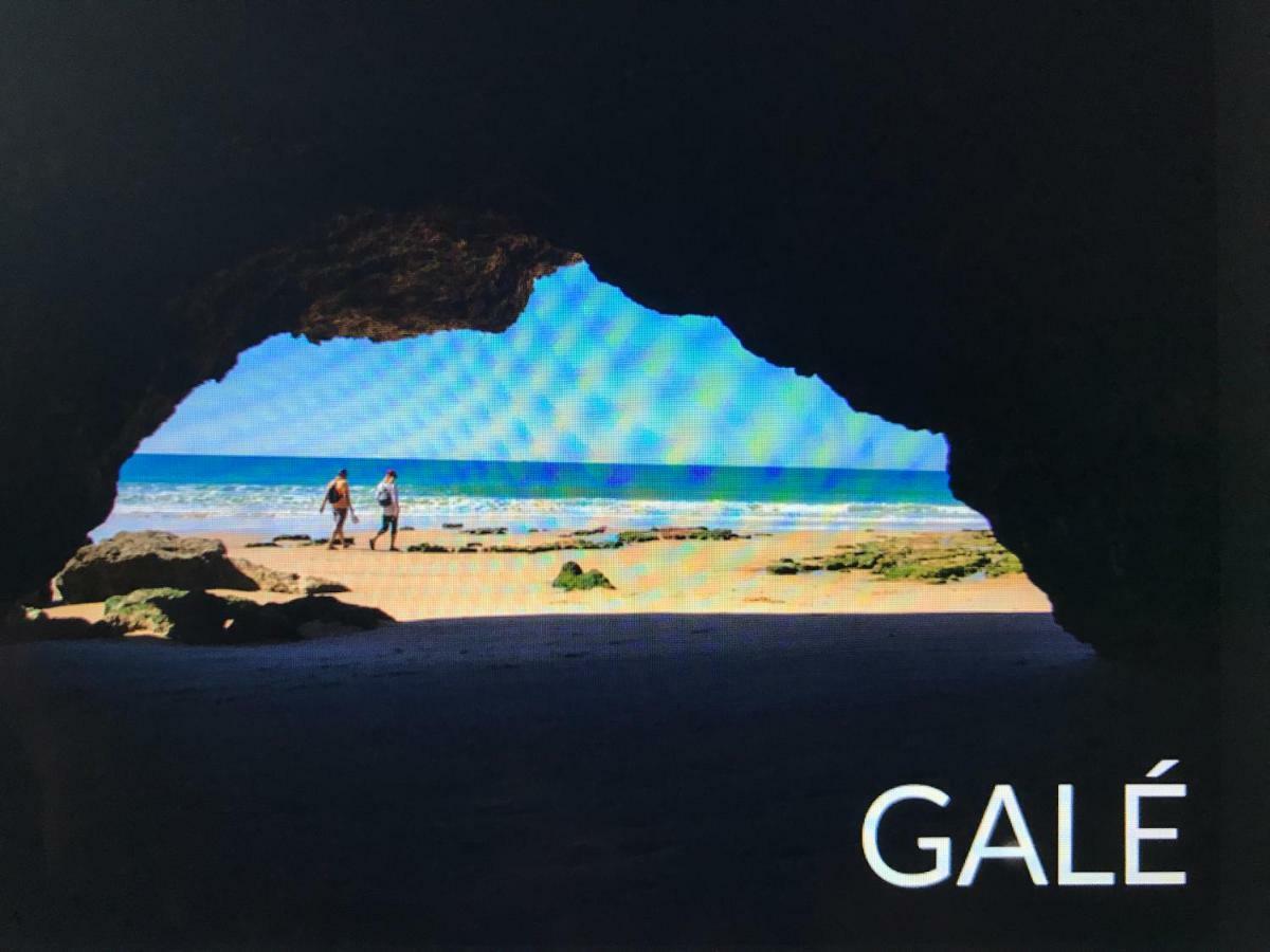 Palmeira Gale Albufeira Exteriör bild